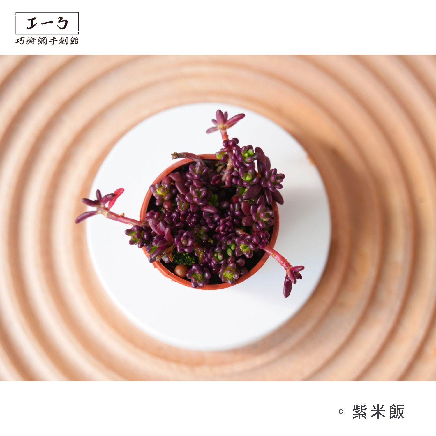 紫米飯 : 一吋