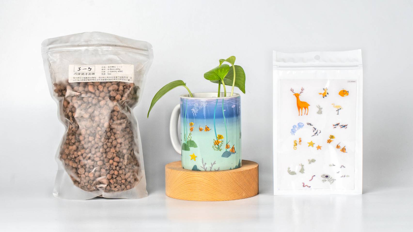 hydroponic plant mug content 15