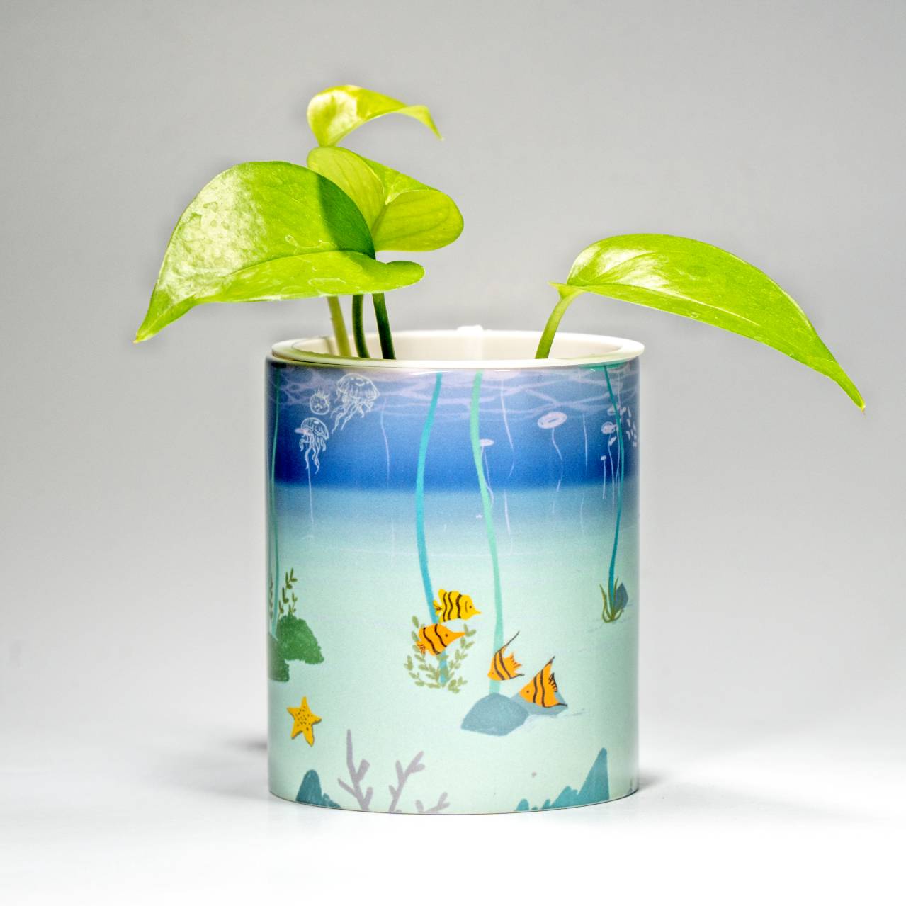 hydroponic plant mug content 8
