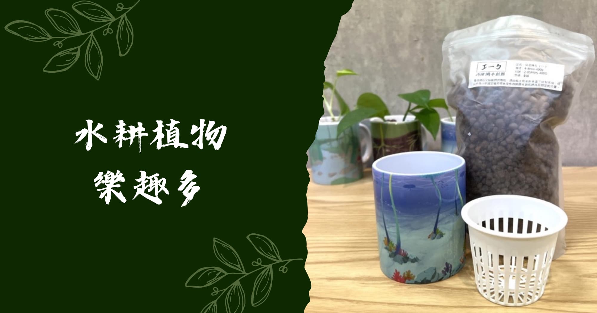 hydroponic plant mug banner