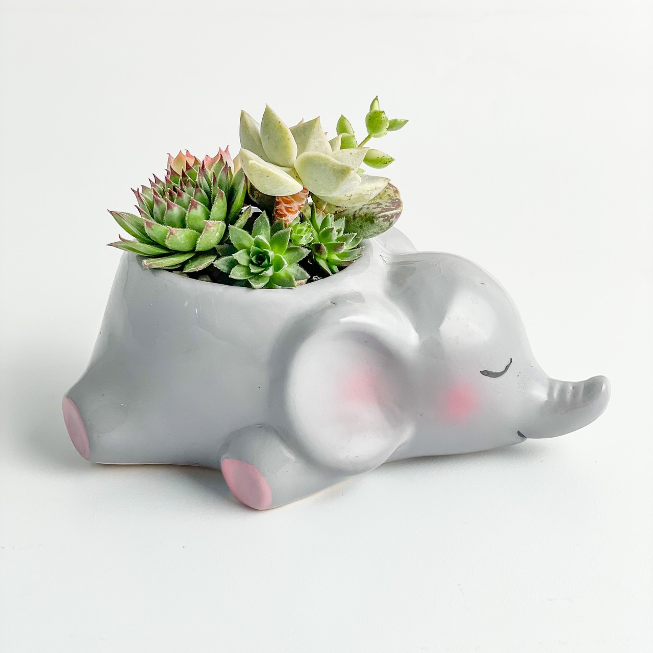 花器-灰色小象(不含植物)
