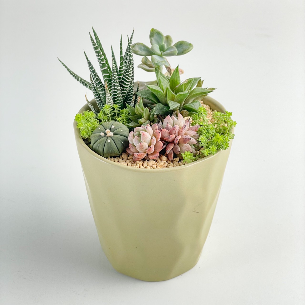 花器-清新綠色陶盆(不含植物)