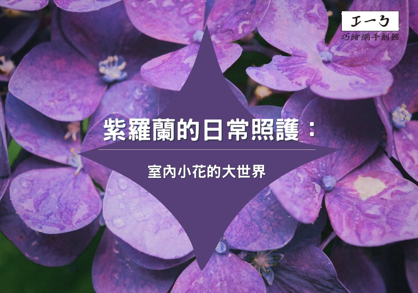 您目前正在查看 紫羅蘭的日常照護：室內小花的大世界