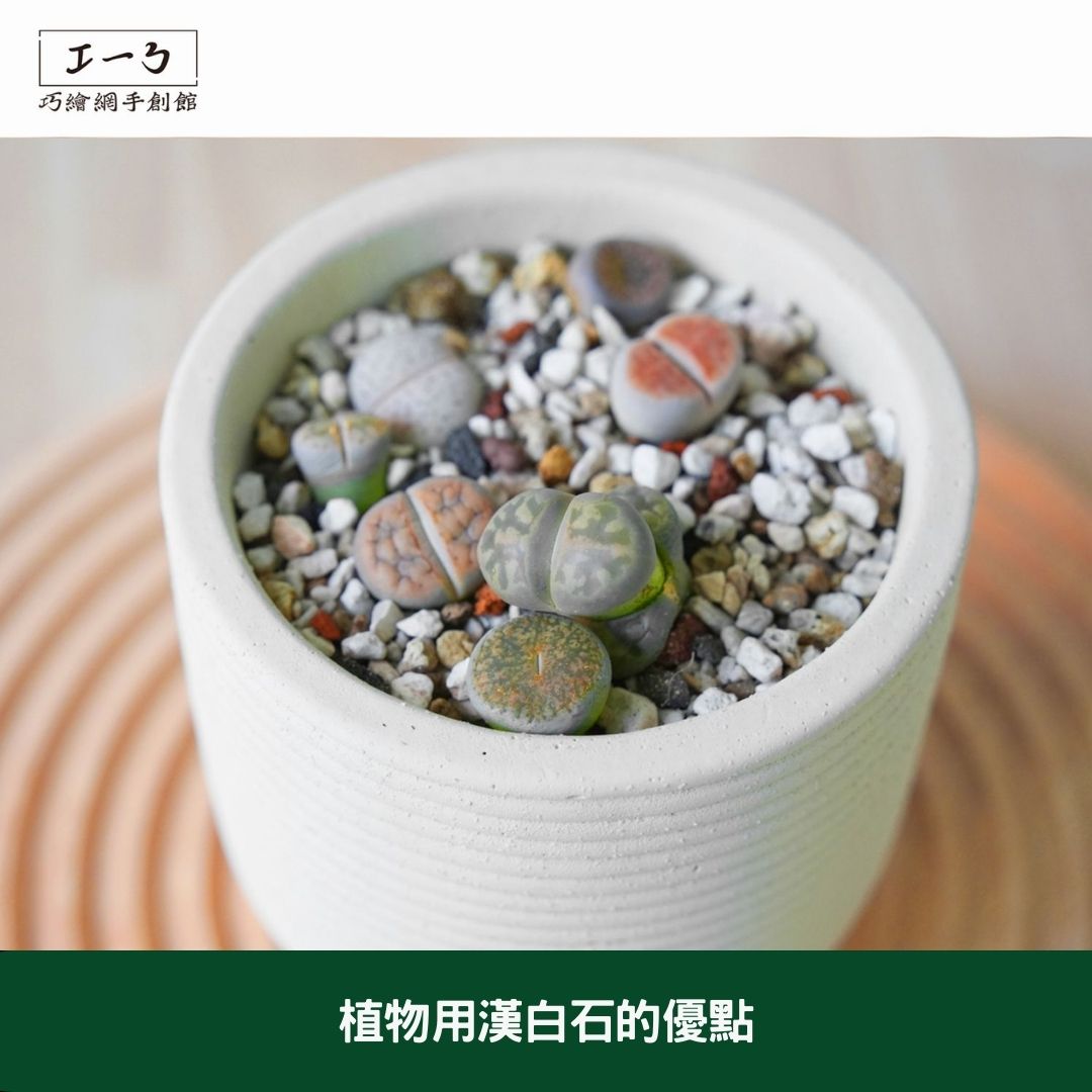 植物用漢白石:打造健康綠意的園藝新選擇 植物用漢白石的優點