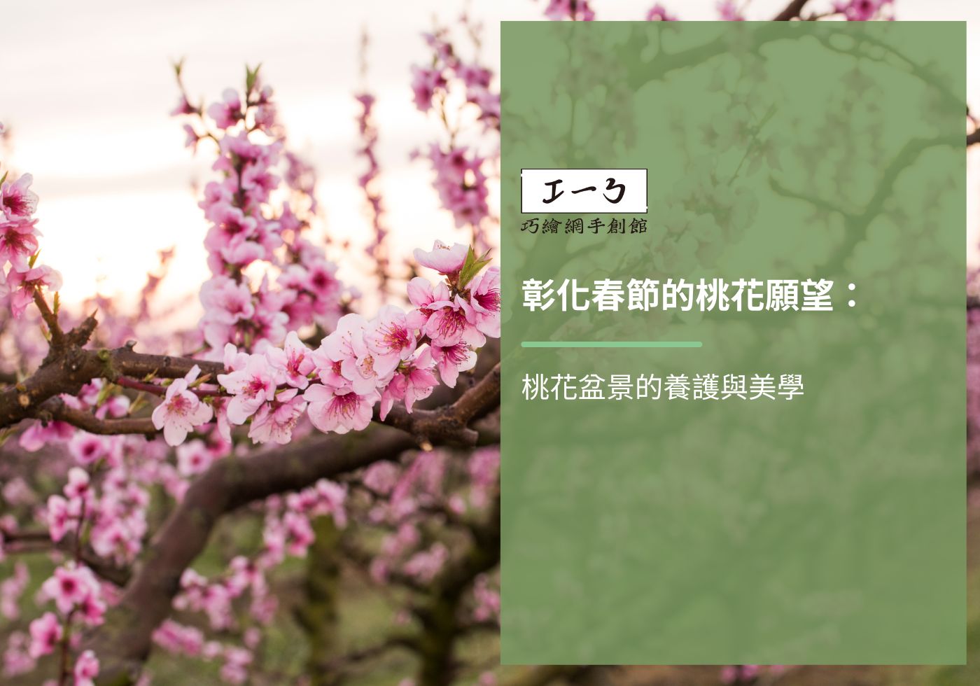 您目前正在查看 彰化春節的桃花願望：桃花盆景的養護與美學