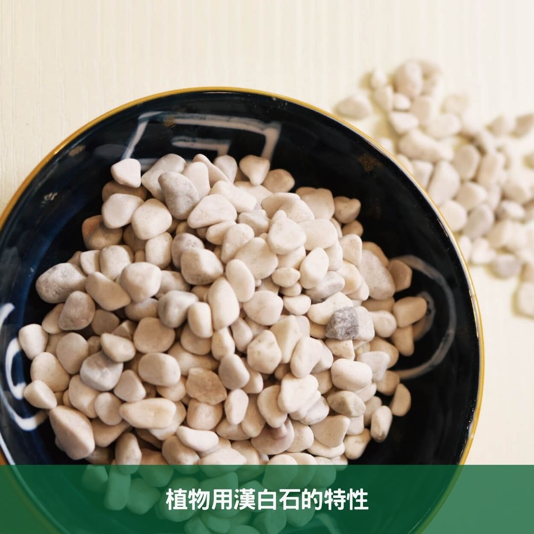 植物用漢白石:打造健康綠意的園藝新選擇 植物用漢白石的特性