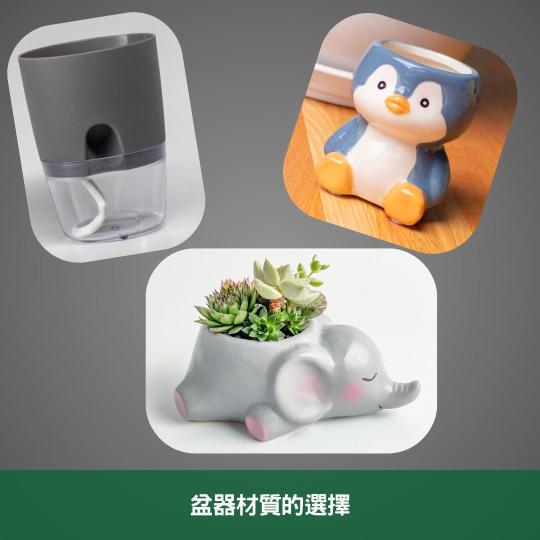 盆器材質的選擇