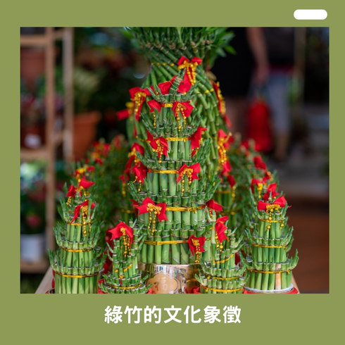 綠竹的文化象徵