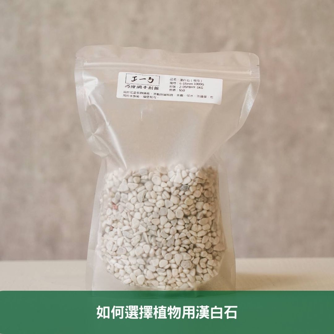 植物用漢白石:打造健康綠意的園藝新選擇 如何選擇植物用漢白石