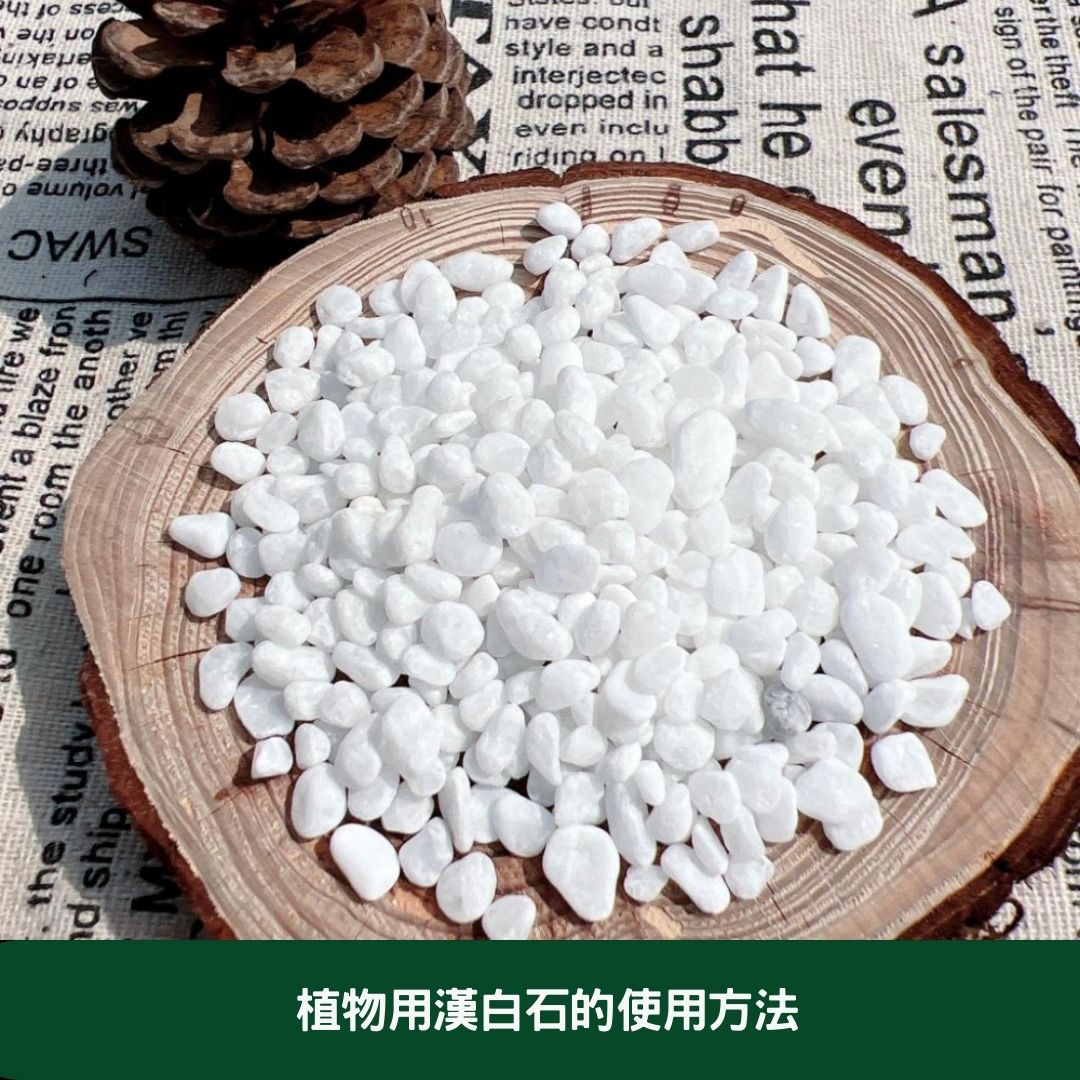 植物用漢白石:打造健康綠意的園藝新選擇 植物用漢白石的使用方法