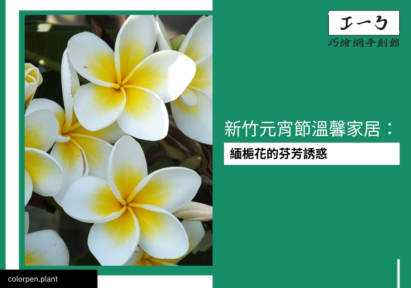 閱讀更多文章 新竹元宵節溫馨家居：緬梔花的芬芳誘惑