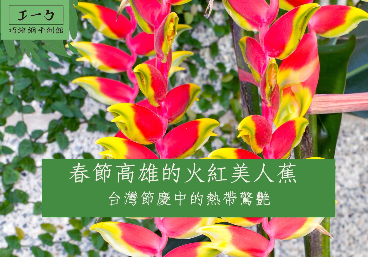 閱讀更多文章 春節高雄的火紅美人蕉：台灣節慶中的熱帶驚艷