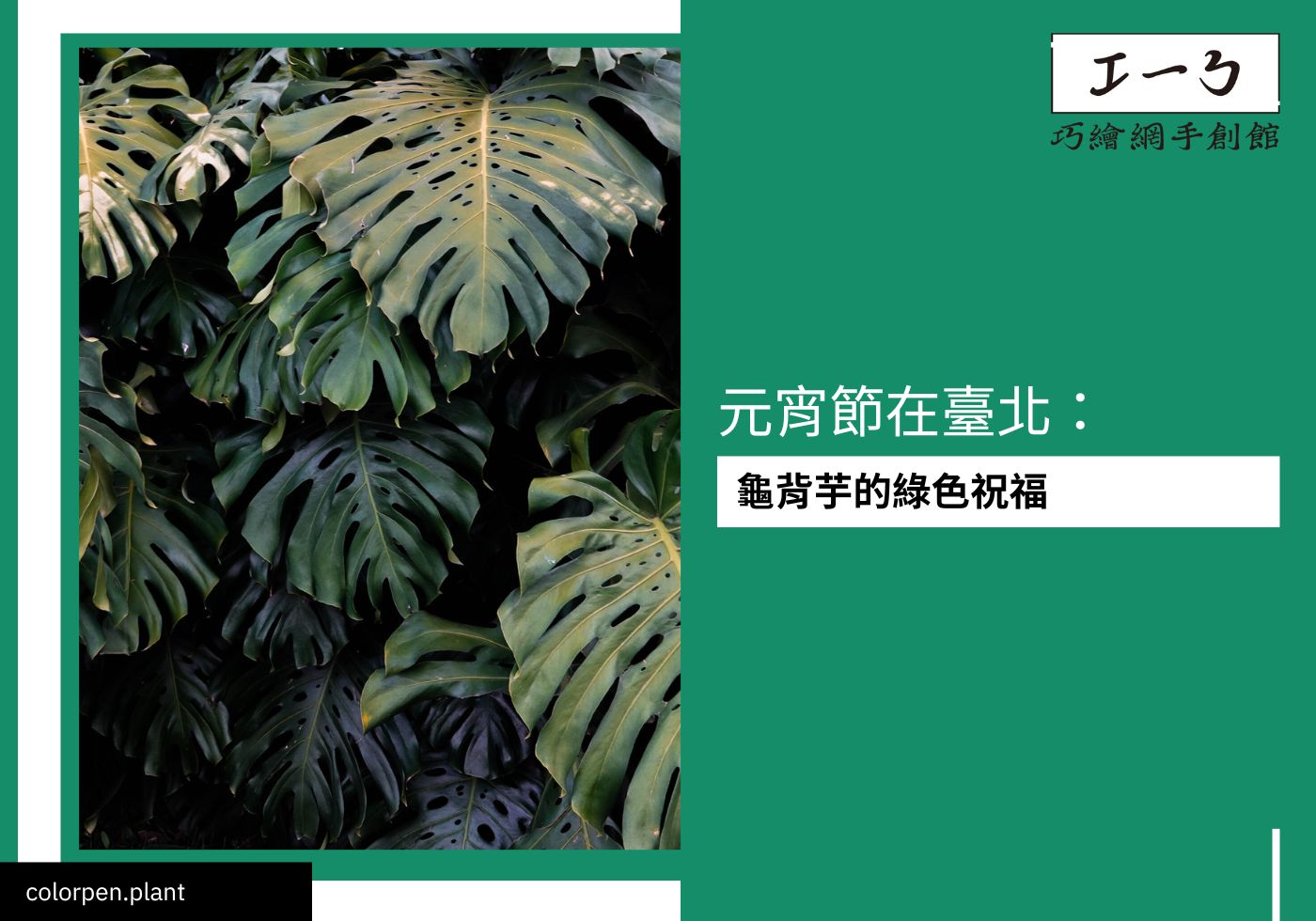 閱讀更多文章 元宵節在臺北：龜背芋的綠色祝福