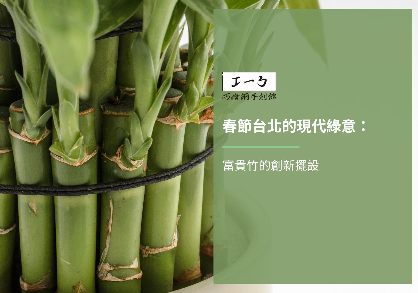 您目前正在查看 春節台北的現代綠意：富貴竹的創新擺設