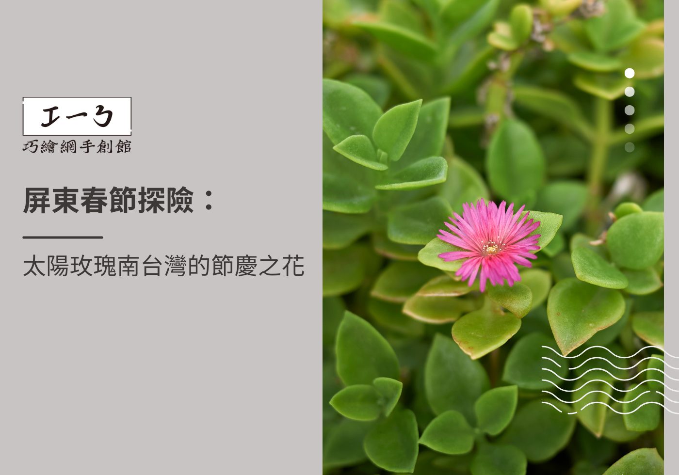 閱讀更多文章 屏東春節探險：太陽玫瑰南台灣的節慶之花