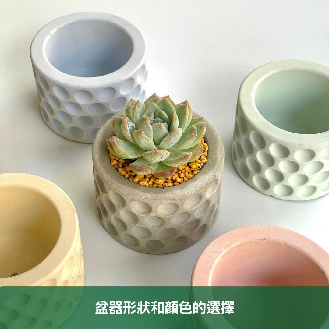 盆器形狀和顏色的選擇
