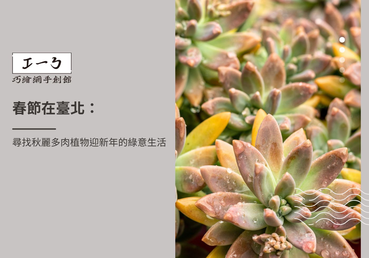 閱讀更多文章 春節在臺北：尋找秋麗多肉植物迎新年的綠意生活