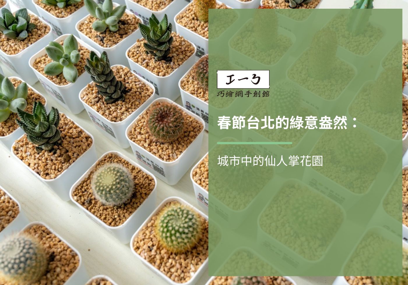您目前正在查看 春節台北的綠意盎然：城市中的仙人掌花園