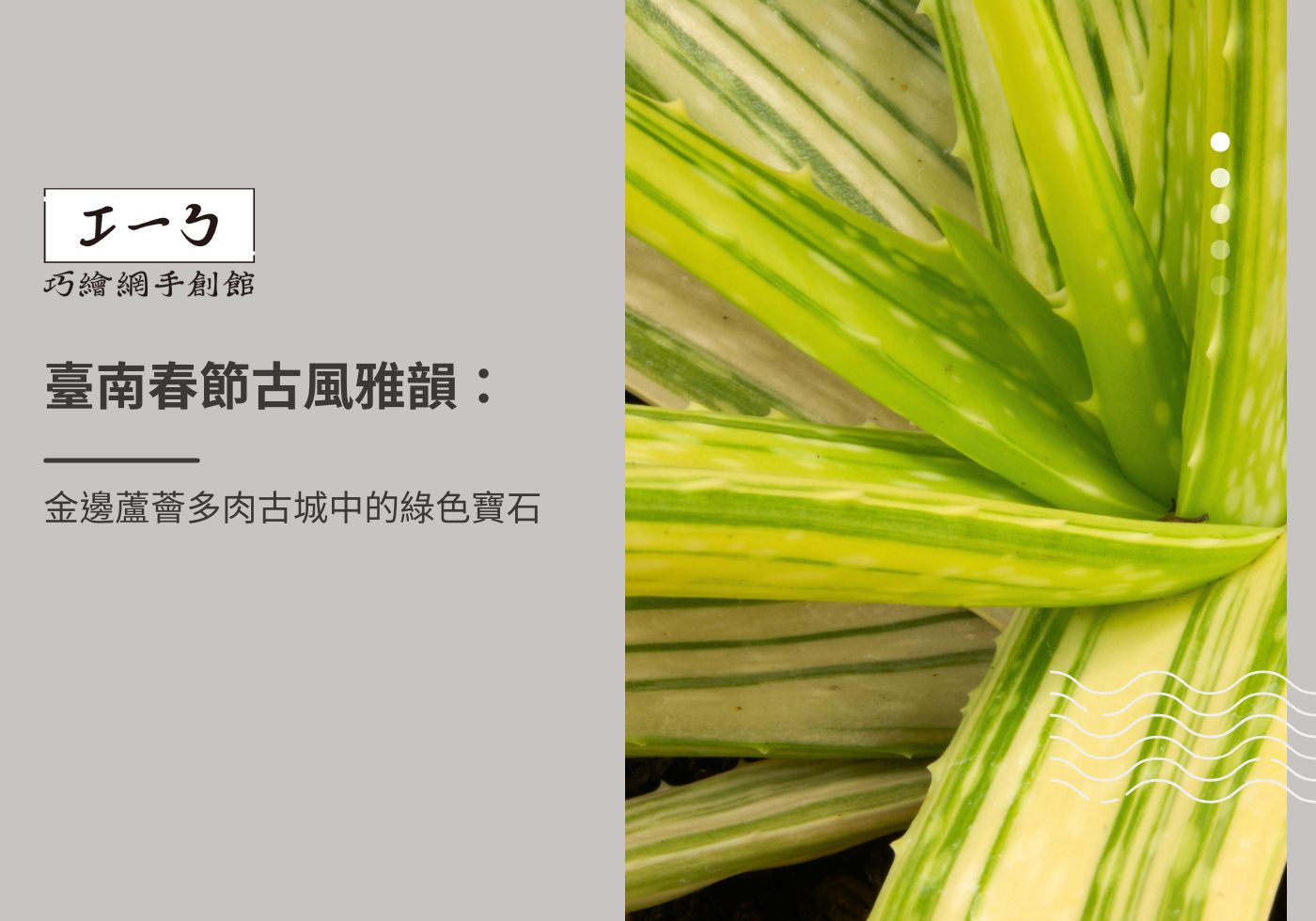 閱讀更多文章 臺南春節古風雅韻：金邊蘆薈多肉古城中的綠色寶石