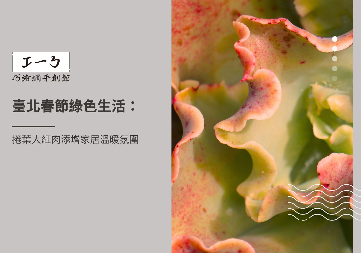 您目前正在查看 臺北春節綠色生活：捲葉大紅肉添增家居溫暖氛圍