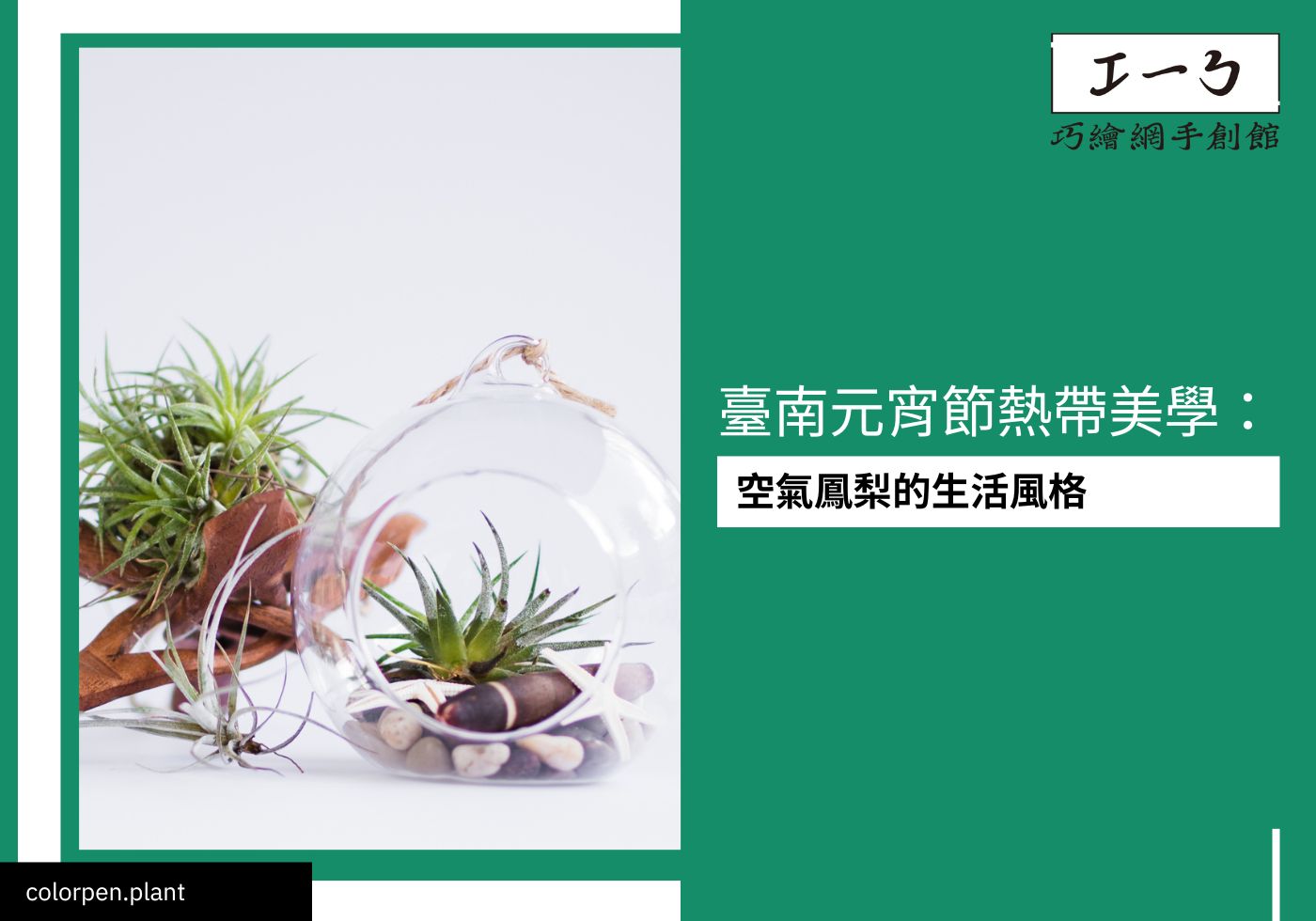 閱讀更多文章 臺南元宵節熱帶美學：空氣鳳梨的生活風格