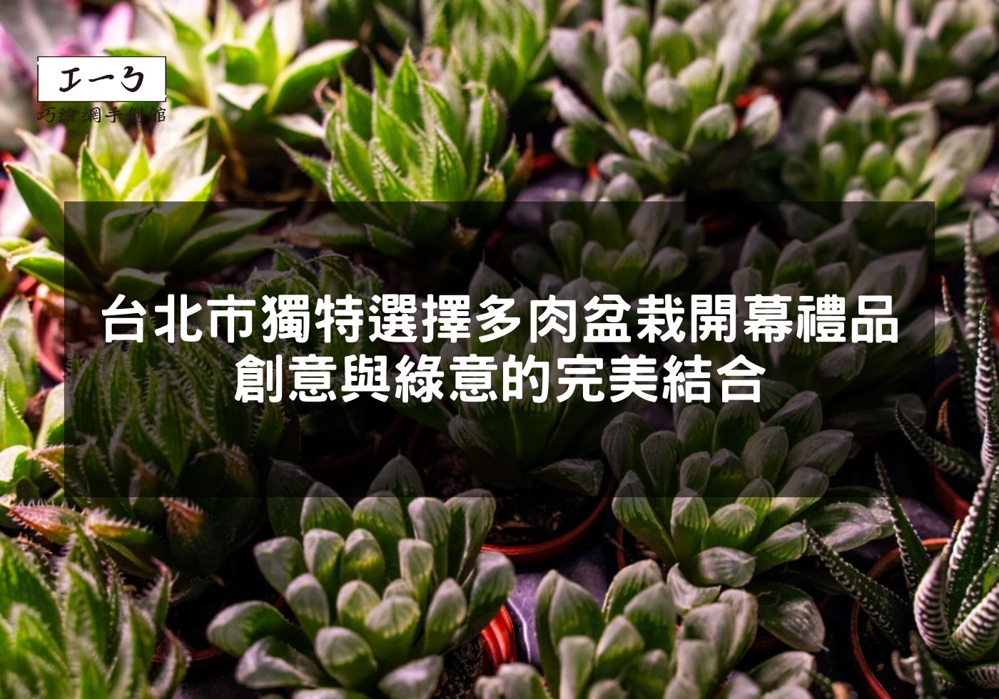 您目前正在查看 台北市獨特選擇 多肉盆栽開幕禮品，創意與綠意的完美結合