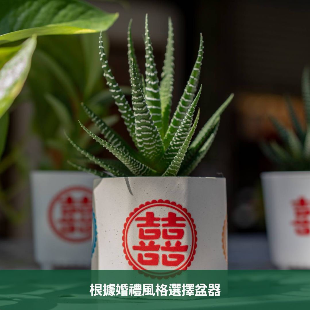2024年環保婚禮小物指南 如何選擇和定制多肉植物盆栽 根據婚禮風格選擇盆器