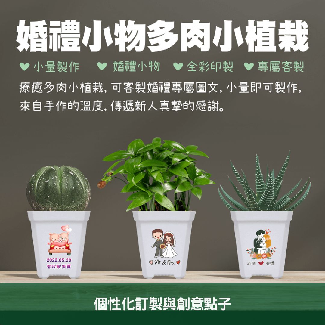 2024年環保婚禮小物指南 如何選擇和定制多肉植物盆栽 個性化訂製與創意點子