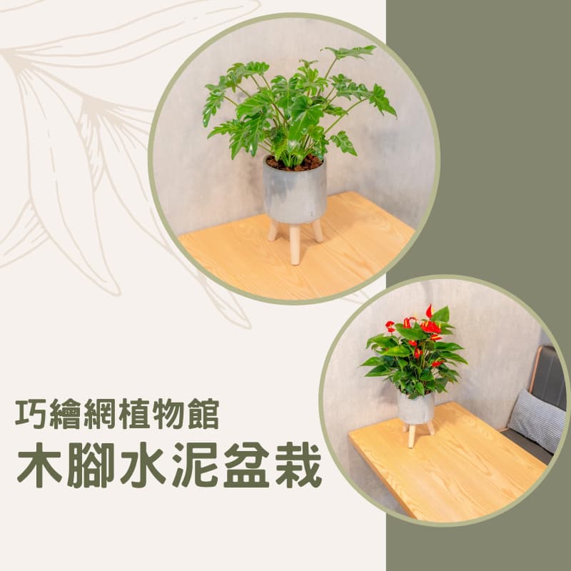 cement flowerpot with wooden legs