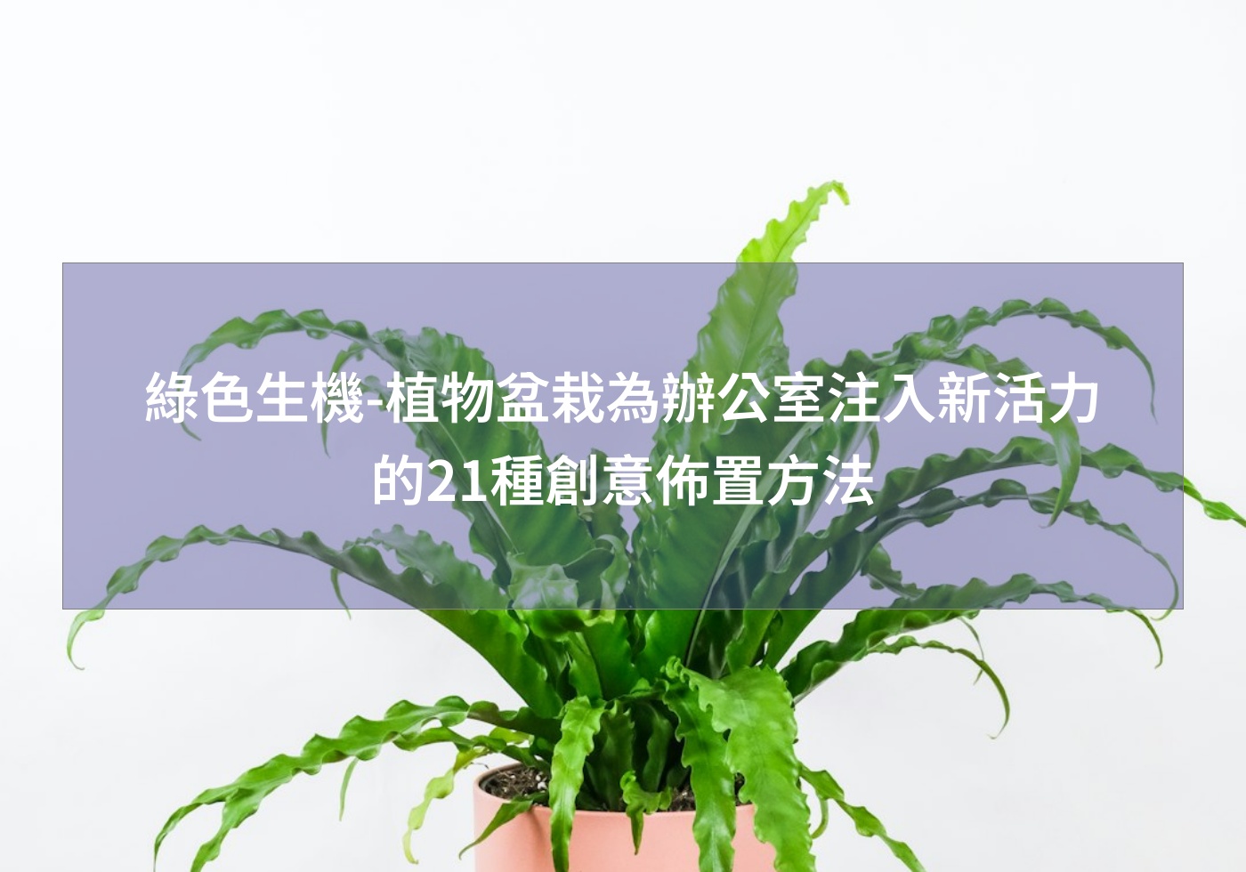 閱讀更多文章 綠色生機-植物盆栽為辦公室注入新活力的21種創意佈置方法