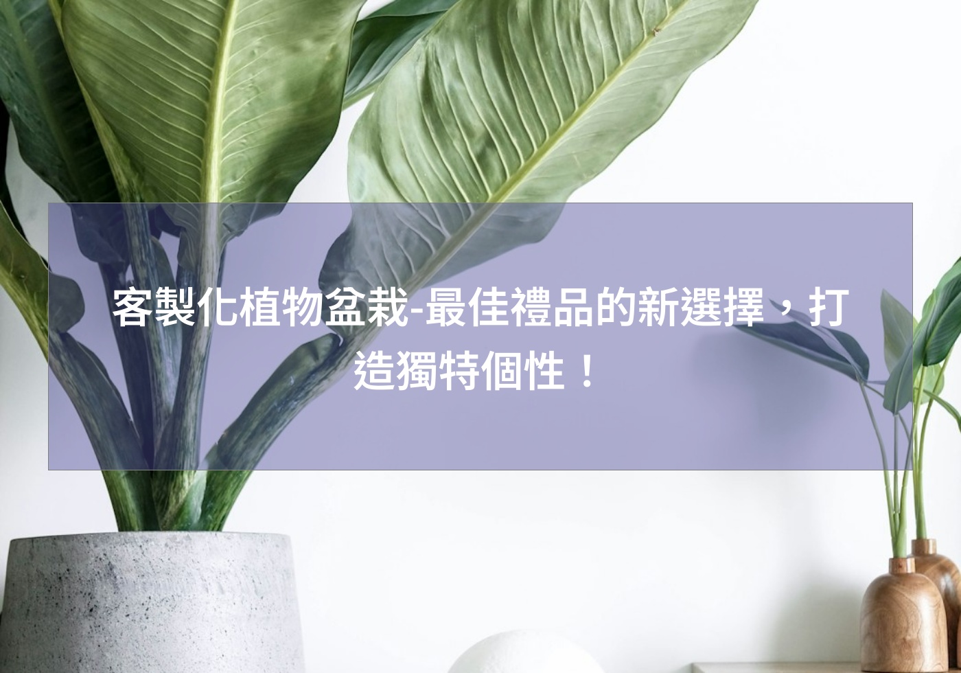 客製化植物盆栽-最佳禮品的新選擇，打造獨特個性！