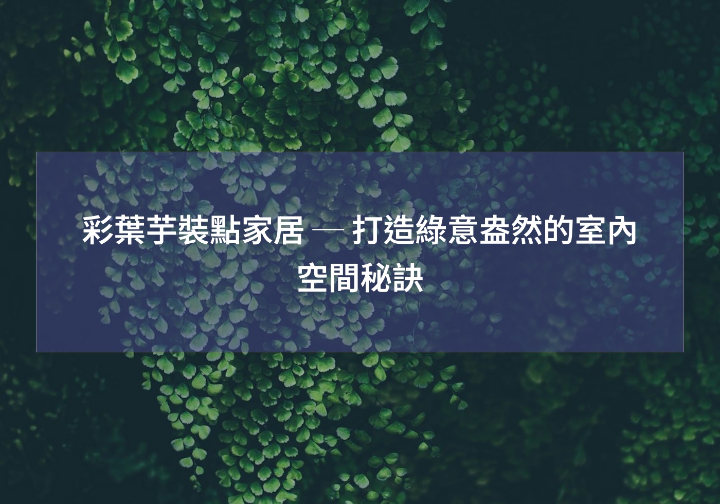 彩葉芋裝點家居 ─ 打造綠意盎然的室內空間秘訣