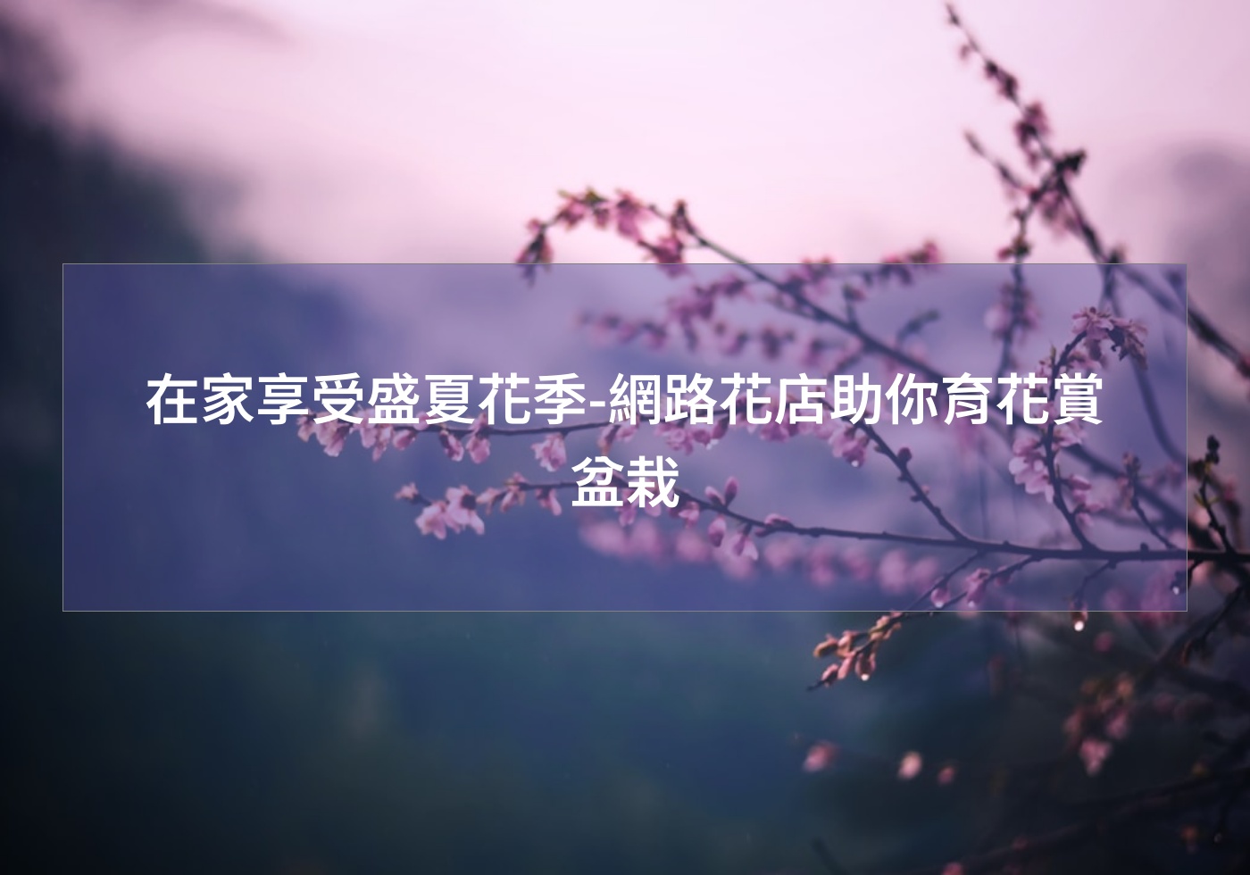 閱讀更多文章 在家享受盛夏花季-網路花店助你育花賞盆栽