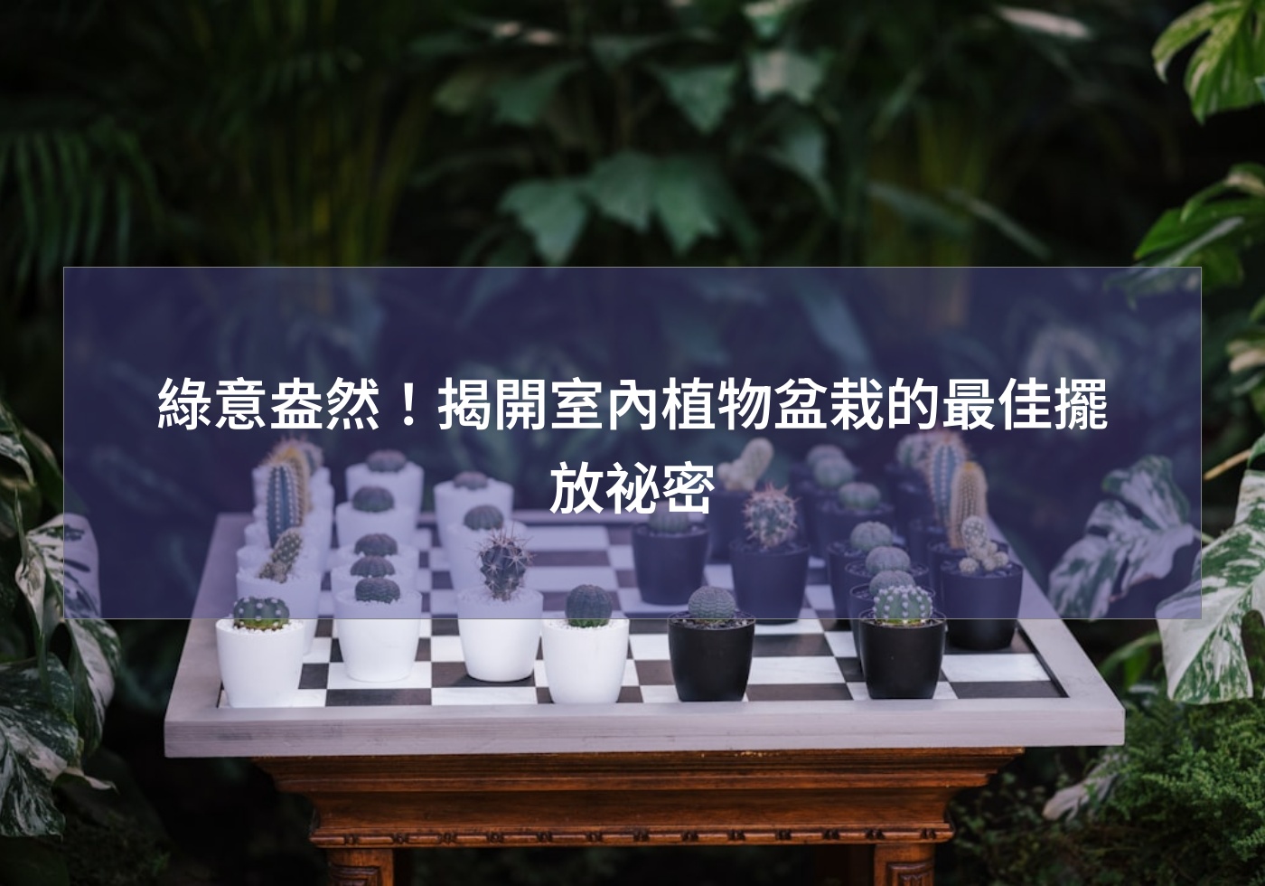 閱讀更多文章 綠意盎然！揭開室內植物盆栽的最佳擺放祕密