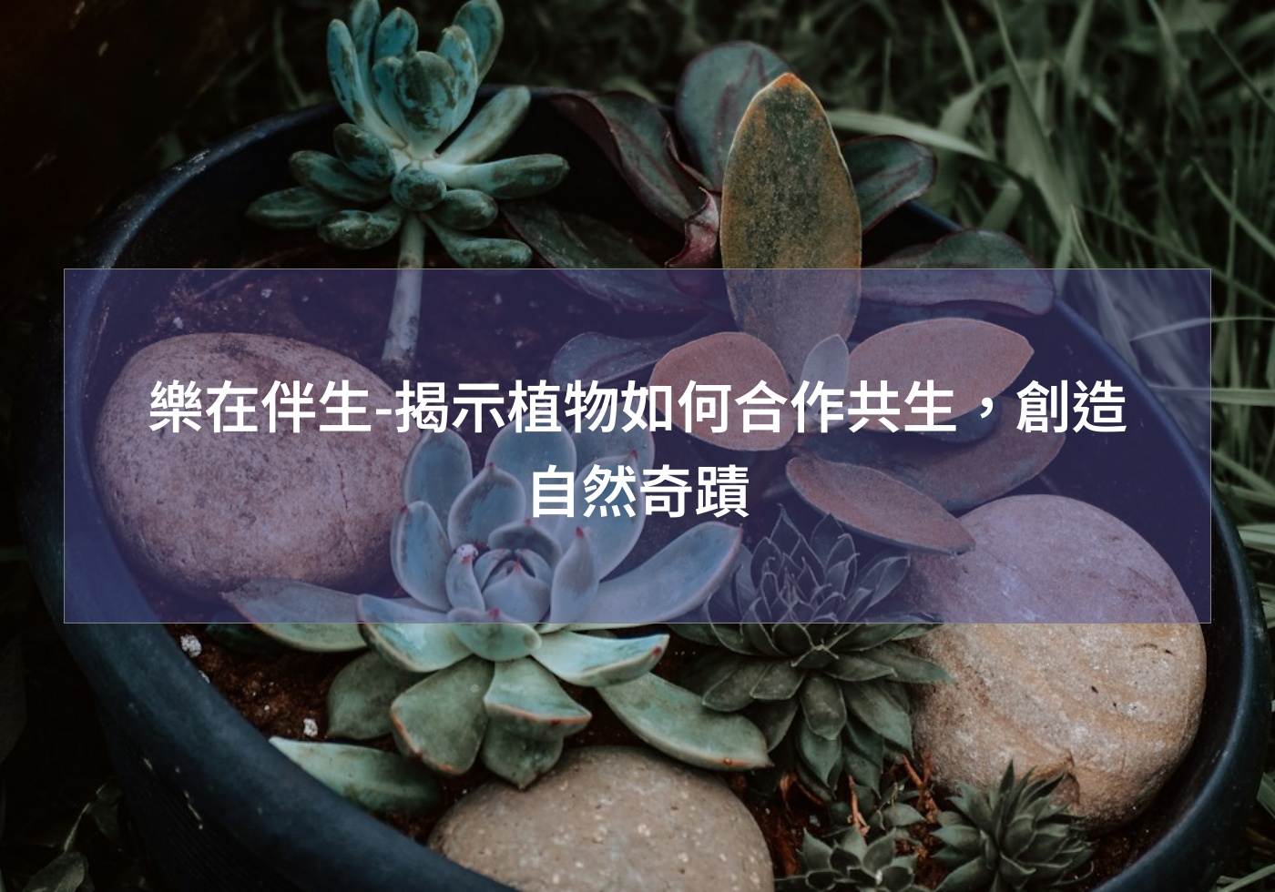 閱讀更多文章 樂在伴生-揭示植物如何合作共生，創造自然奇蹟