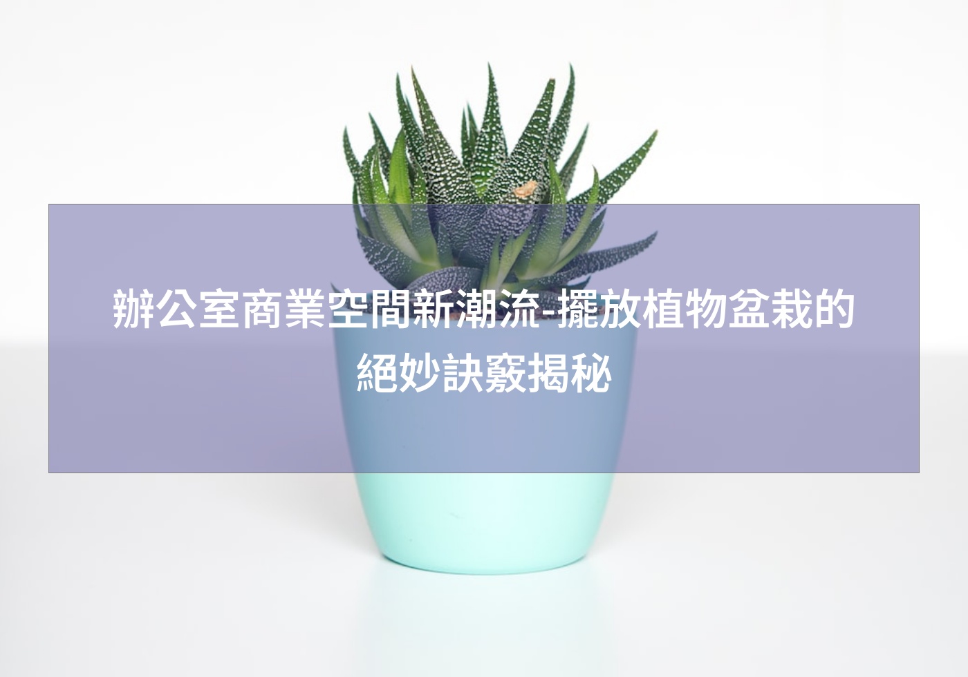閱讀更多文章 辦公室商業空間新潮流-擺放植物盆栽的絕妙訣竅揭秘