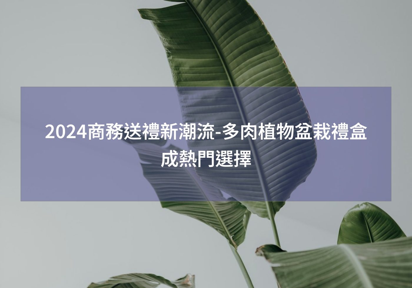 閱讀更多文章 2024商務送禮新潮流-多肉植物盆栽禮盒成熱門選擇