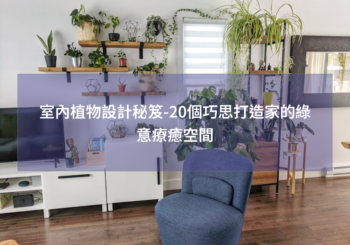 閱讀更多文章 室內植物設計秘笈-20個巧思打造家的綠意療癒空間
