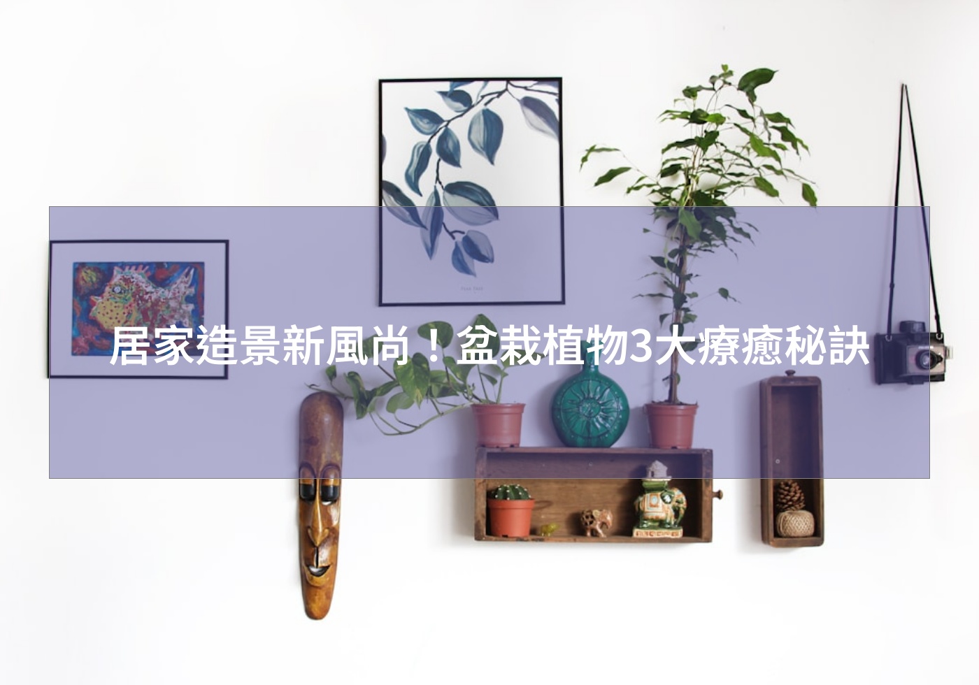 閱讀更多文章 居家造景新風尚！盆栽植物3大療癒秘訣