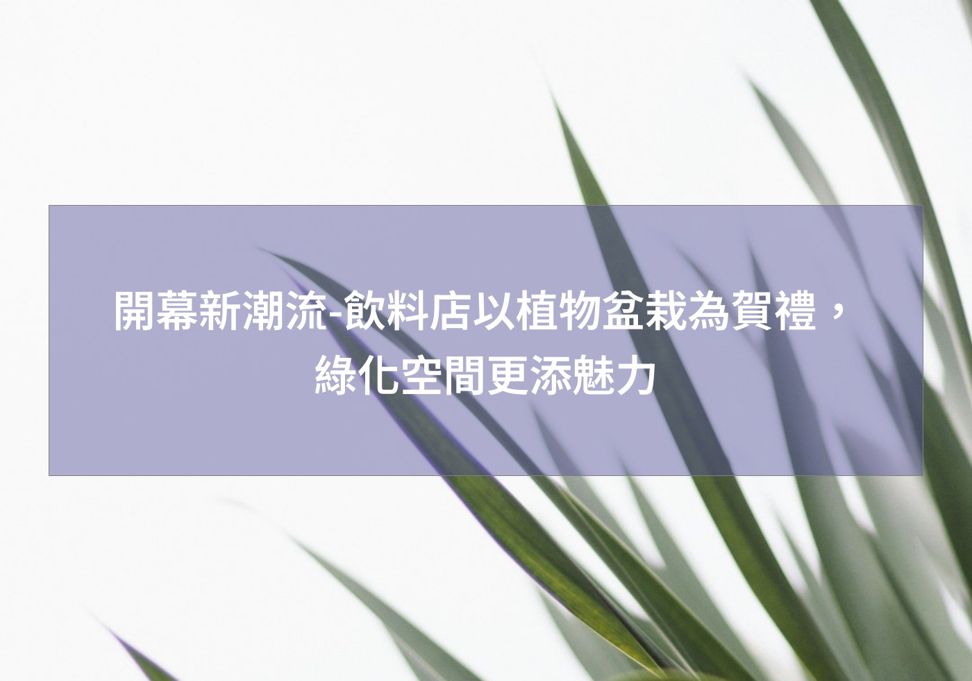 閱讀更多文章 開幕新潮流-飲料店以植物盆栽為賀禮，綠化空間更添魅力