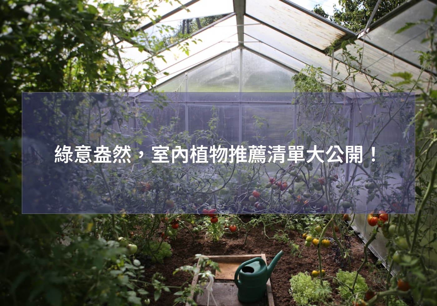綠意盎然，室內植物推薦清單大公開！