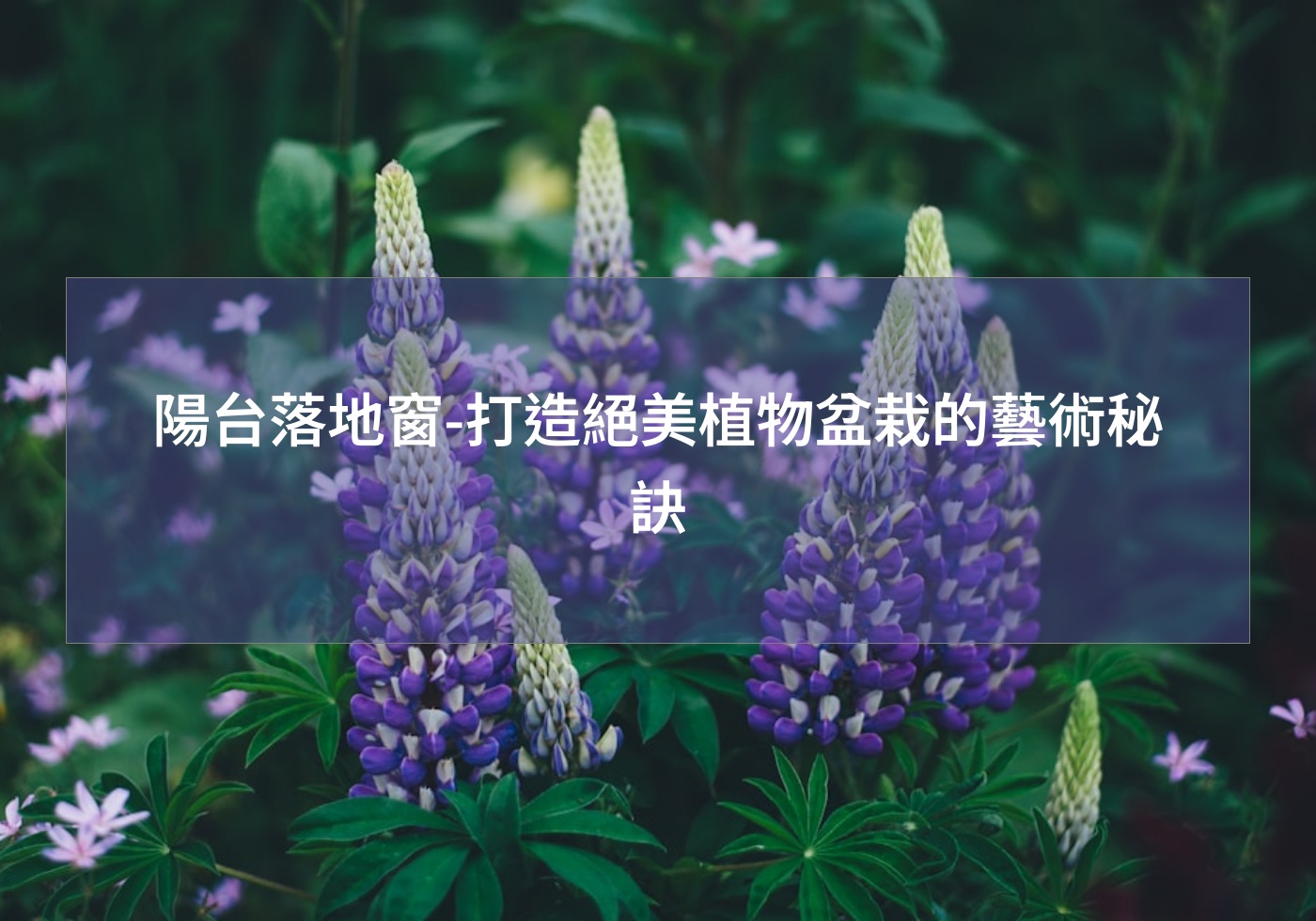 陽台落地窗-打造絕美植物盆栽的藝術秘訣