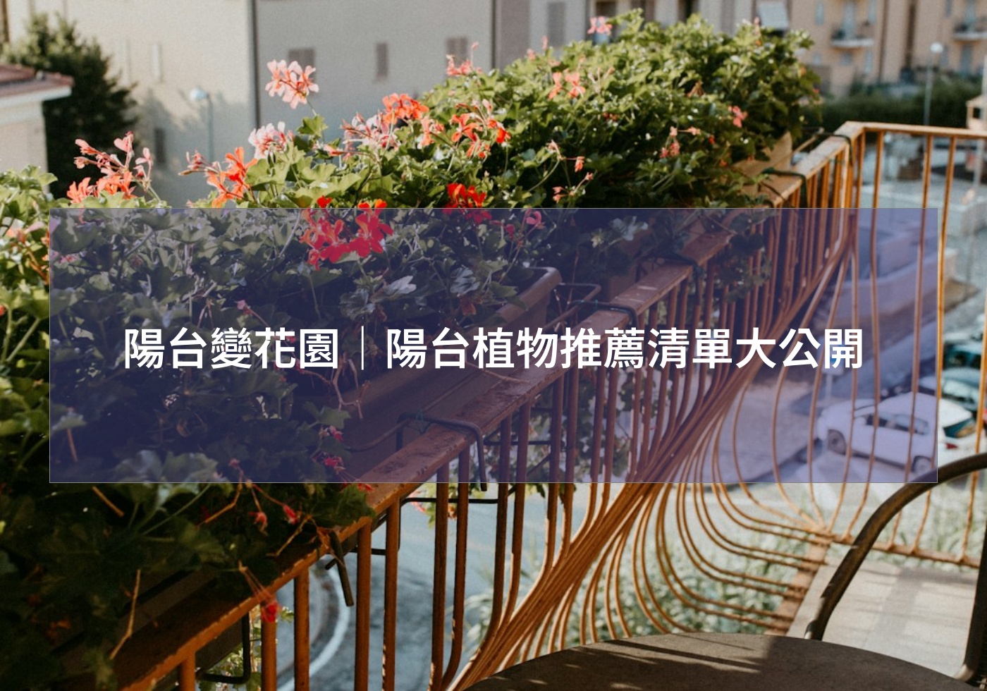 陽台變花園｜陽台植物推薦清單大公開