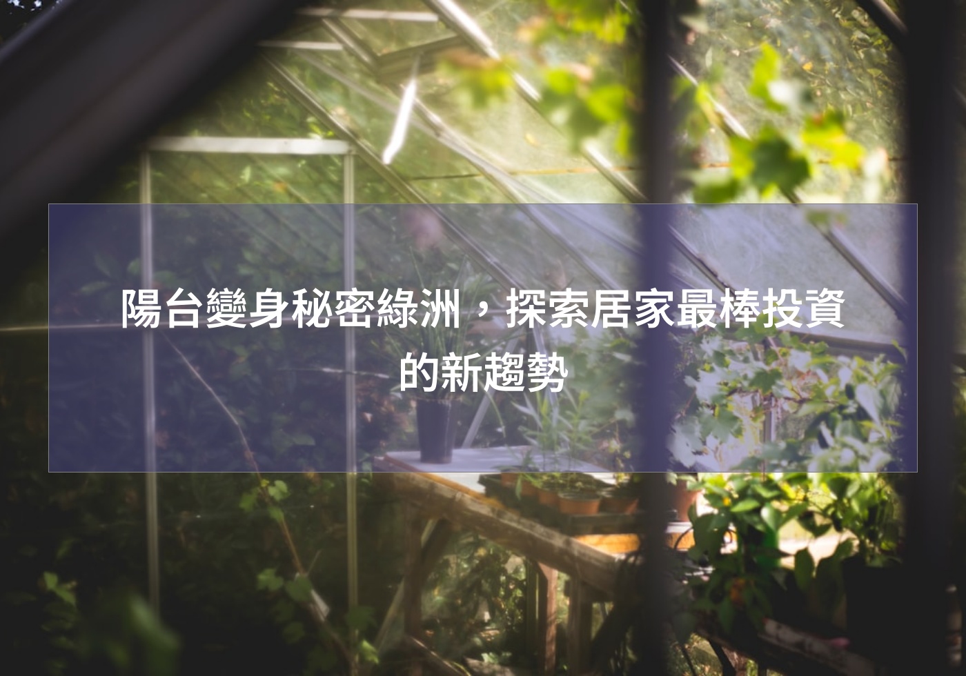 陽台變身秘密綠洲，探索居家最棒投資的新趨勢