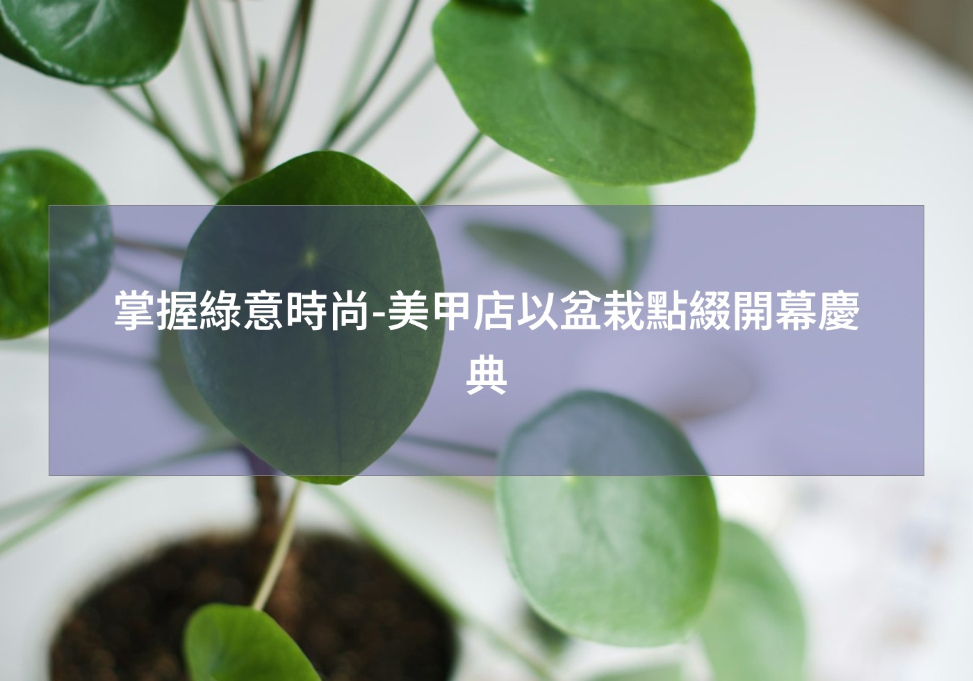 閱讀更多文章 掌握綠意時尚-美甲店以盆栽點綴開幕慶典