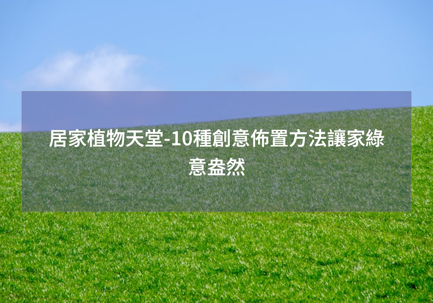 閱讀更多文章 居家植物天堂-10種創意佈置方法讓家綠意盎然