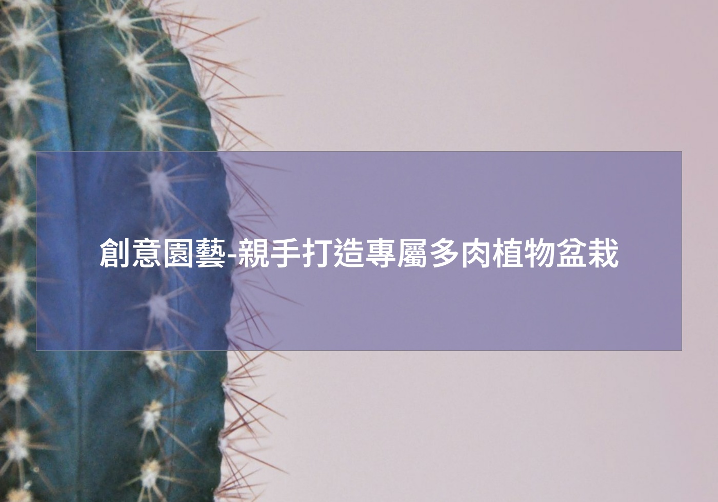 創意園藝-親手打造專屬多肉植物盆栽