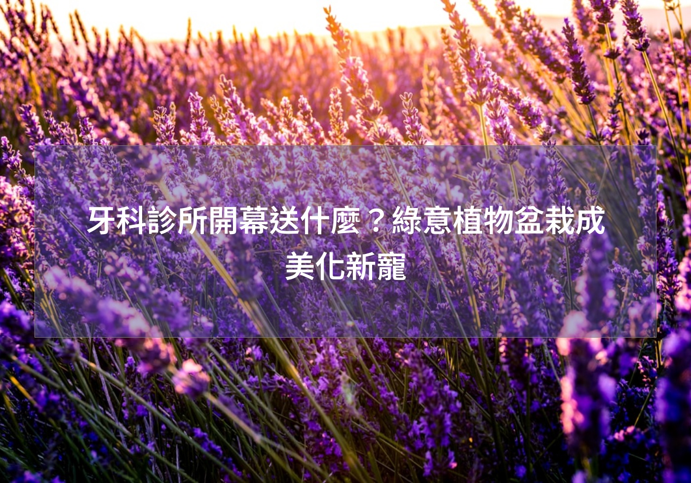 牙科診所開幕送什麼？綠意植物盆栽成美化新寵