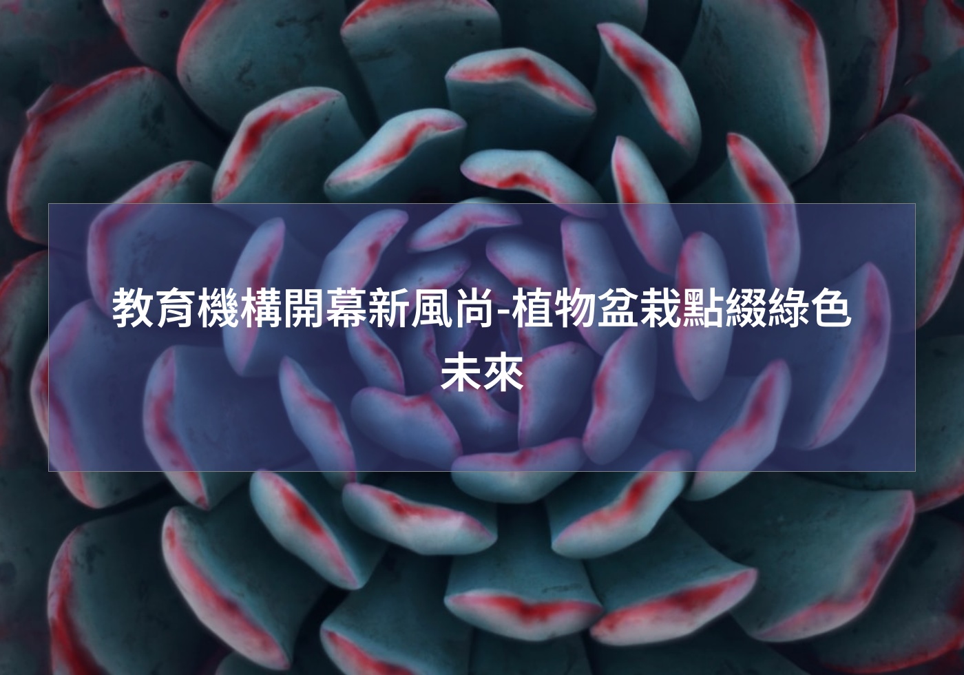 教育機構開幕新風尚-植物盆栽點綴綠色未來