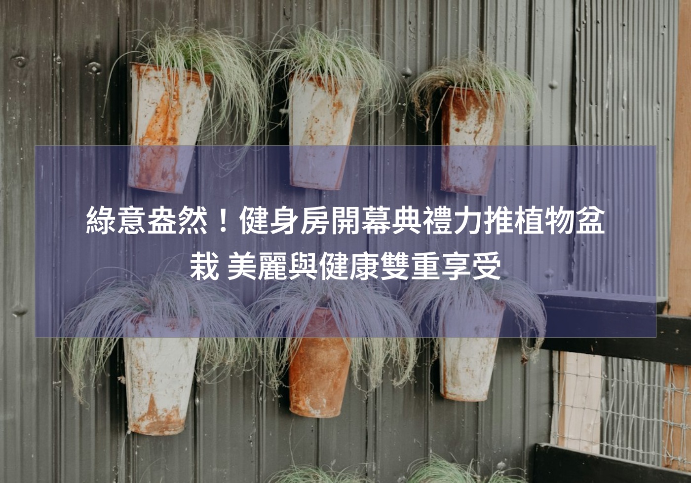 閱讀更多文章 綠意盎然！健身房開幕典禮力推植物盆栽 美麗與健康雙重享受